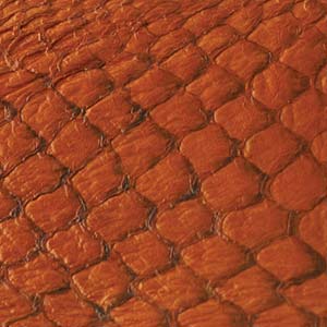 Fish Leather - Glossy Citrus Appx 9x2.5inch/ea