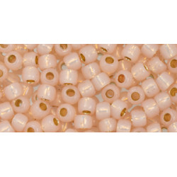 TOHO Round 6/0 PermaFinish Translucent Silver-Lined Peachy Pink 250gr - TR-06-PF2126 TOHO Round 6/0 PermaFinish Translucent Silver-Lined Peachy Pink 250gr - TR-06-PF2126