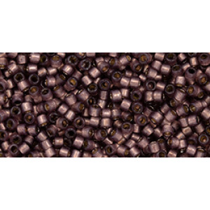 TOHO Treasure 11/0 PermaFinish Translucent Silver-Lined Nutmeg 100gr - TT-01-PF2114