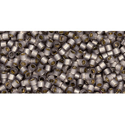 TOHO Treasure 11/0 PermaFinish Translucent Silver-Lined Gray 100gr - TT-01-PF2115