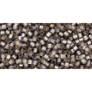 TOHO Treasure 11/0 PermaFinish Translucent Silver-Lined Gray 100gr - TT-01-PF2115
