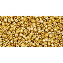TOHO Treasure 11/0 PermaFinish - Galvanized Starlight 100gr - TT-01-PF557
