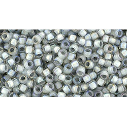 TOHO Takumi Round 11/0 Inside-Color Rainbow Crystal/Gray-Lined 250gr - TTR-11-261