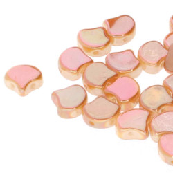 Ginko 7.5mm Chalk Full Apricot 100 Gm/Bg