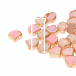 Ginko 7.5mm Chalk Full Apricot 22 Gm/Tb