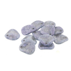 Petal 14X13mm White Terracotta Blue-50Bds/St 3St/Bg